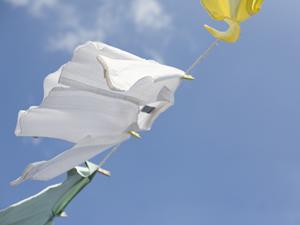 愛知県で人気の引越し会社と言えば